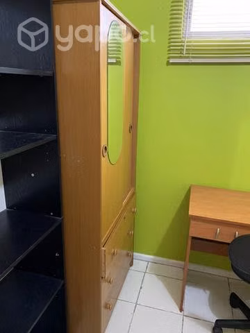 Pieza universitario