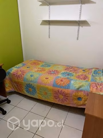 Pieza universitario