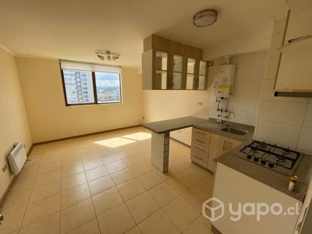 Depto 1 dormitorio - 1 baño / centro concepc