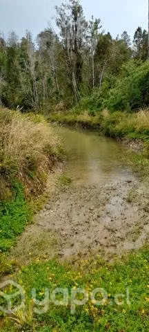 campo - Imagen 2