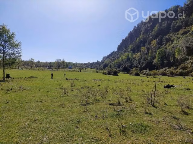 Terreno coñaripe