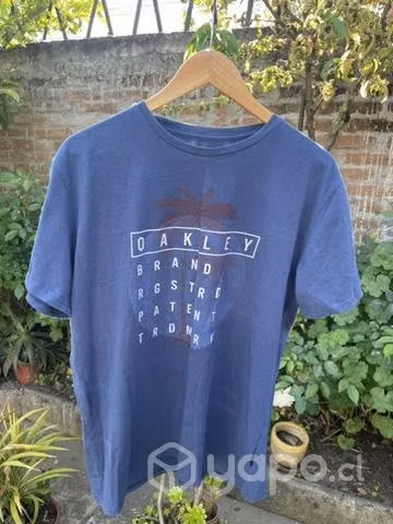 Poleras de marca