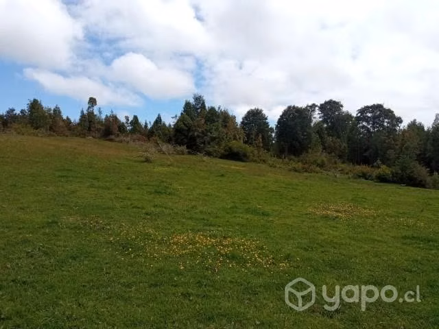 2 hectáreas en la comuna de Los Muermos