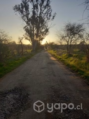 Alto el Peral - Imagen 11