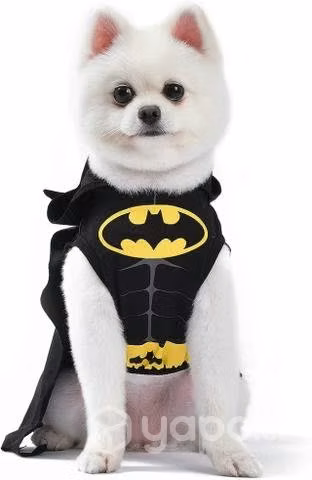Traje Batman perro - Imagen 3