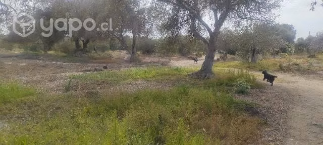 Parcela de 2,3 hectáreas en El Pueblo De Los Choro