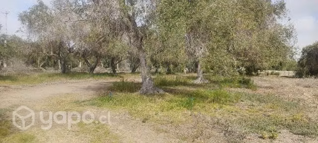 Parcela de 2,3 hectáreas en El Pueblo De Los Choro