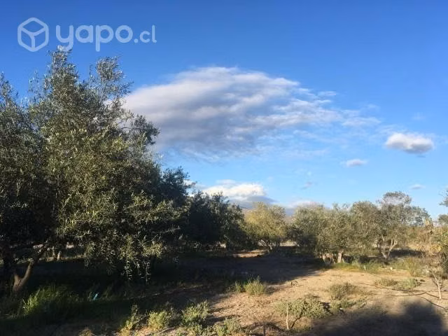 Parcela de 2,3 hectáreas en El Pueblo De Los Choro