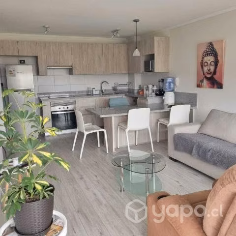 Departamentos Arriendo Vacacional - La Serena Vera