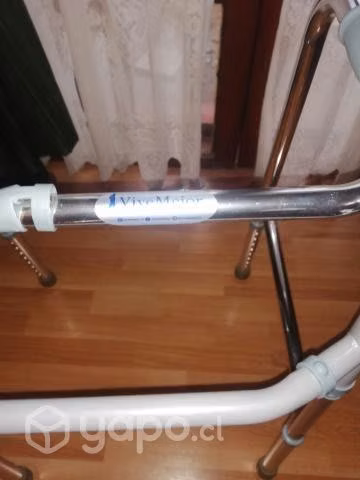 Burrito caminador - Imagen 2
