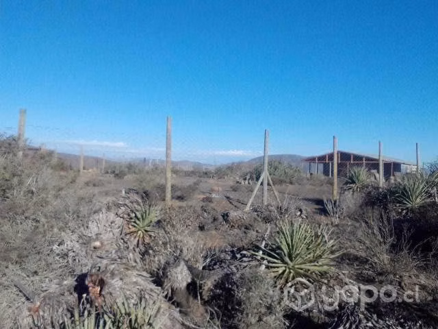 Terreno 5000 Mts Talinay - Imagen 3