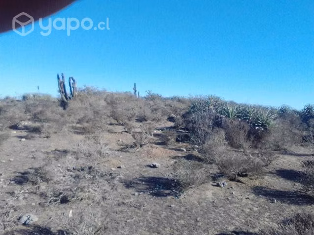 Terreno 5000 Mts Talinay - Imagen 7