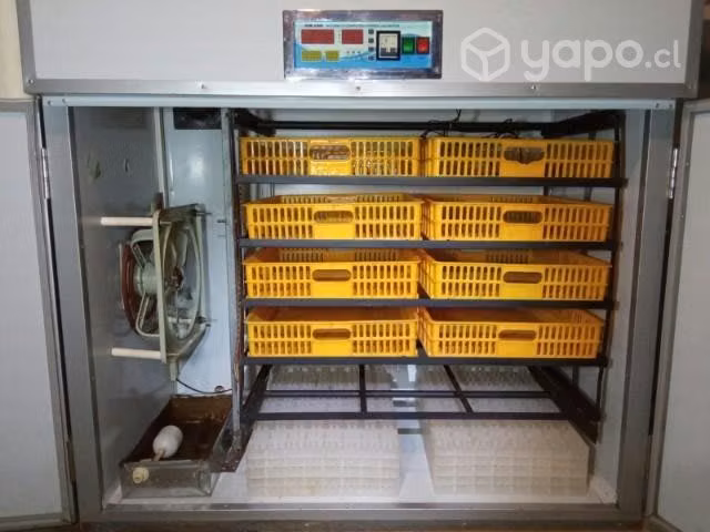 Incubadora para aves 880 huevos - Imagen 2