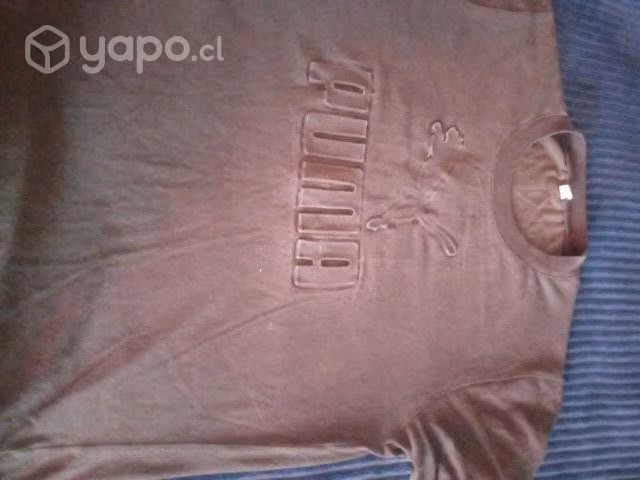 Polera