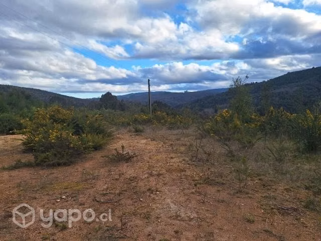 Terreno en Valdivia - Imagen 5