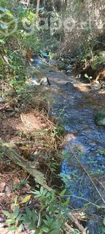 Parcela Pelluhue - Imagen 10