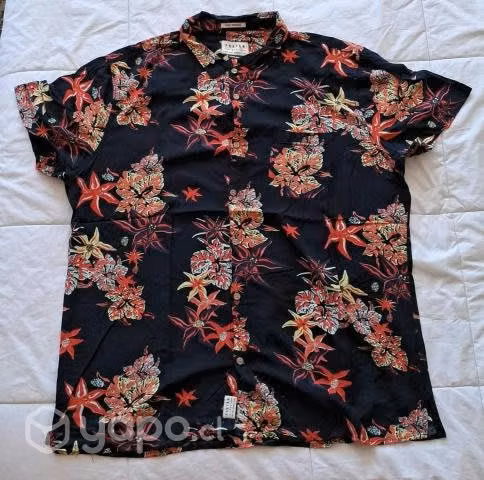 Camisa