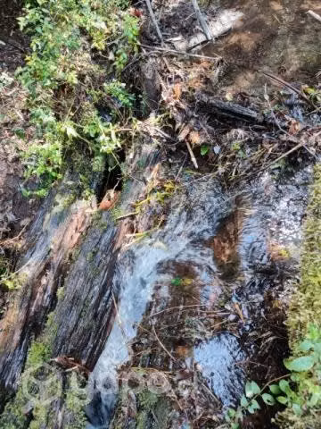 Parcela con Rio en Pucon - Imagen 2
