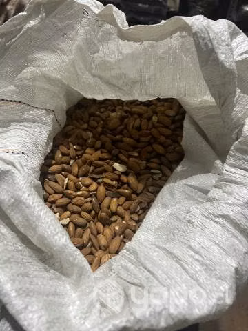Almendras non pareil - exportacion