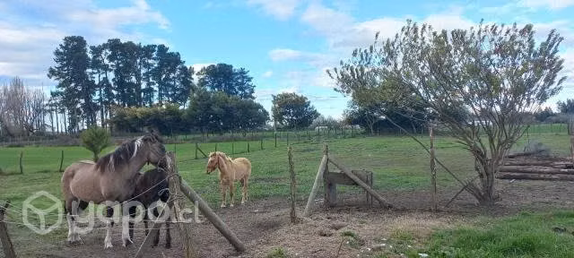 Casa en cercanía los Ángeles, octava Región Bio Bi