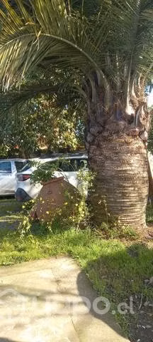 Hermosa casa en Quillón