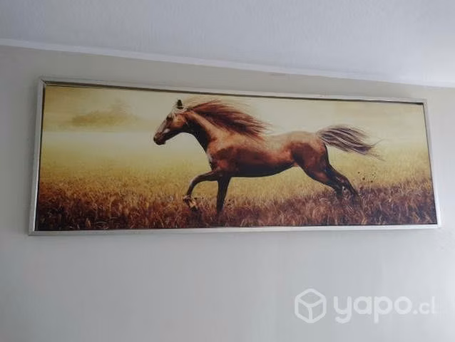 Cuadro de caballo