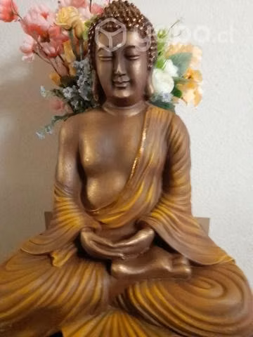 Buda mudra