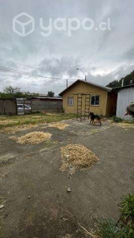Se vende propiedad con casa - Imagen 4