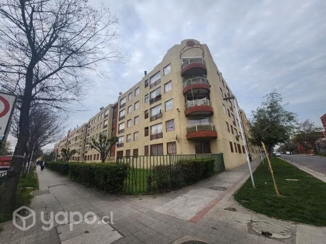 Sta Rosa 100