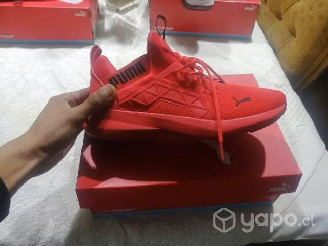 Pumas Enzo sports original