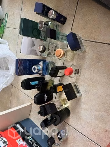 Colección frascos de perfume