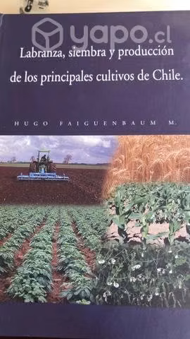 Labranza, siembra y producción en cultivos Chile