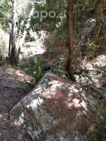 Se vende terreno - Imagen 2