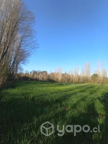 Parcela en el ciruelito - Imagen 4