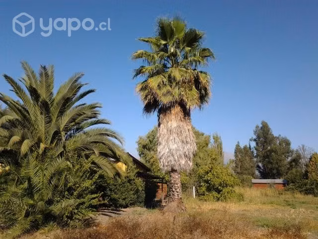 Parcela Huelquen. PAINE.1/2He.c/Casa-VENTA DIRECTA - Imagen 5