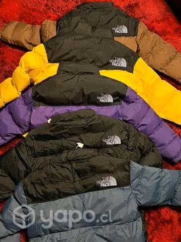 Chaquetas Tnf 700