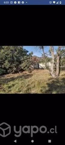 Quinta en Peumo