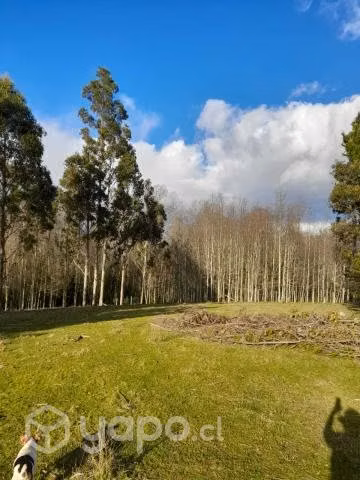 Parcela de 1 ha en venta en sector Chapaco, Rio Negro