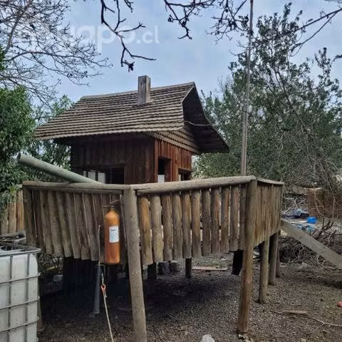 Caseta muñeca