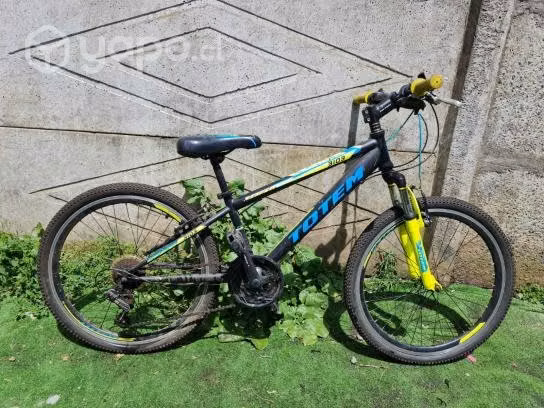 Bicicleta totem para niños aro 24