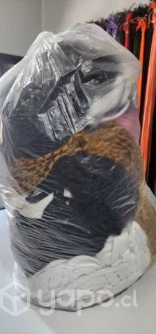 Cordones para calzado