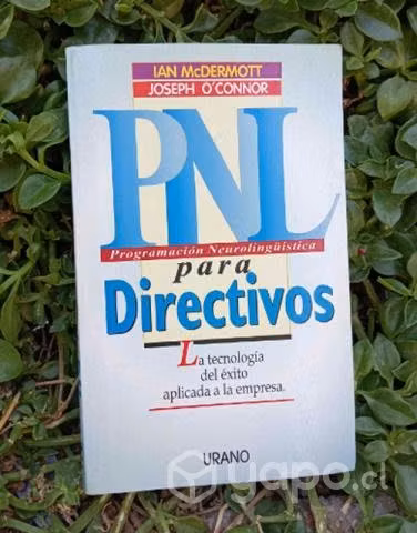 PNL para directivos
