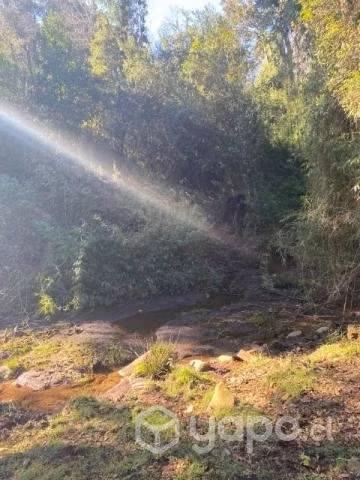 Campo en Coipue