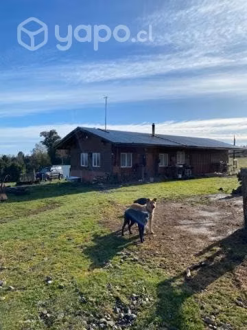Campo en Coipue