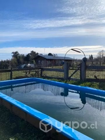 Campo en Coipue