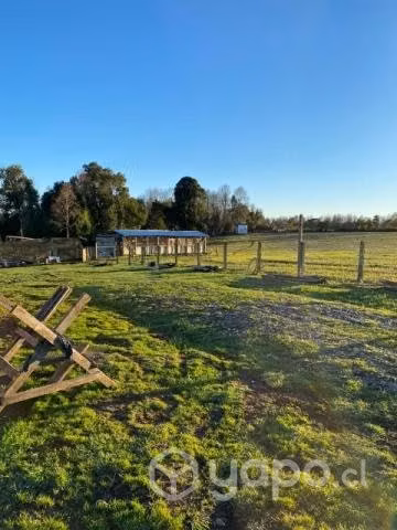 Campo en Coipue