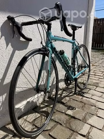 Pistera Bianchi Tanirone 7