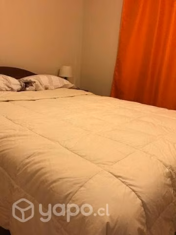 Arriendo departamento amoblado