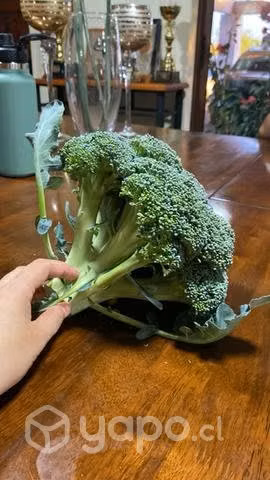Lechugas y brócoli