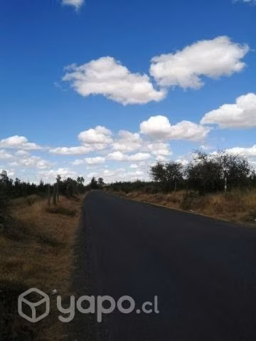 Parcela en Cauquenes - Imagen 3